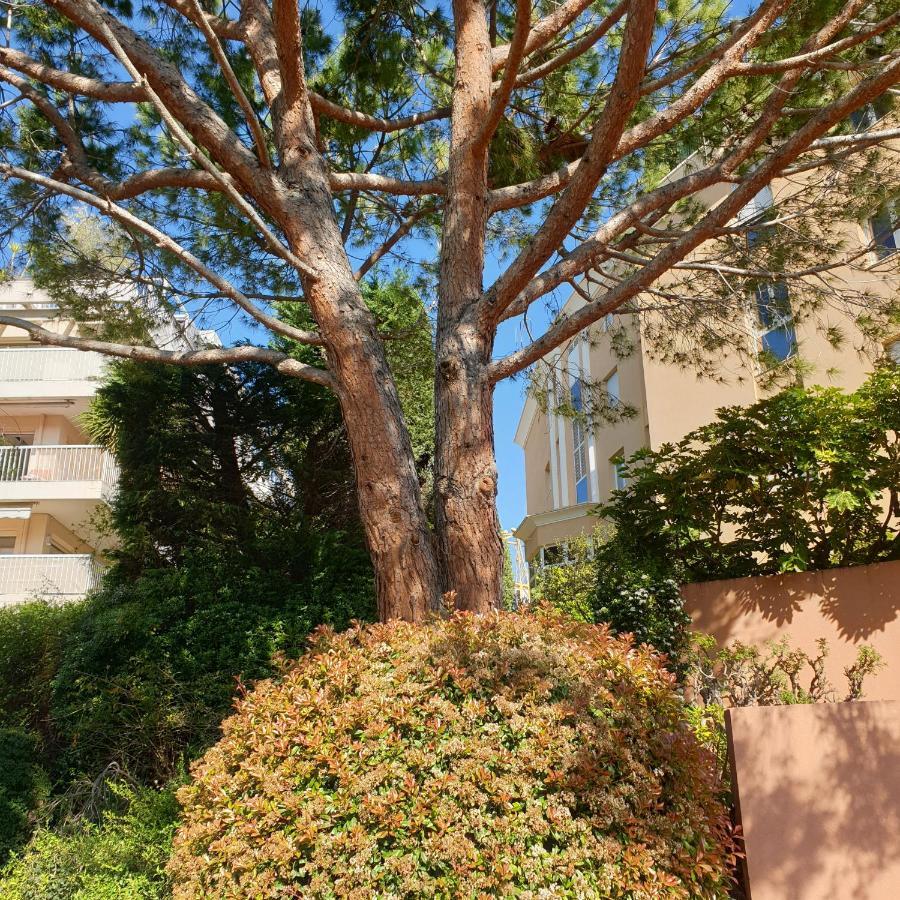Luxurious Sea View Cannes Vieux Cannet